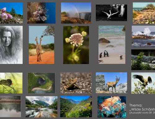 Themenabend 2025 – September