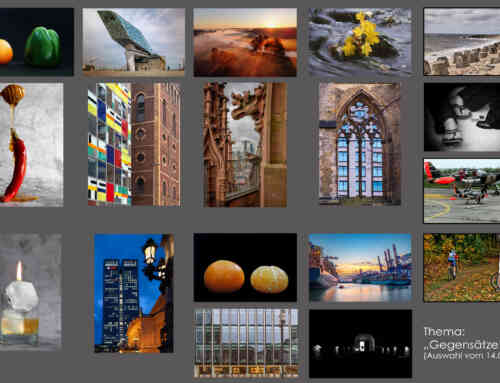 Themenabend 2026 – Januar