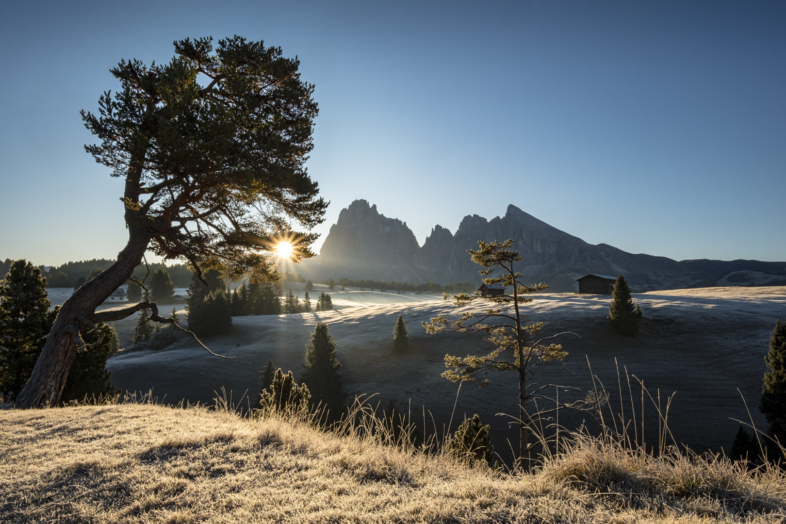 Rainer_Morgens_auf_der_Seiser_Alm